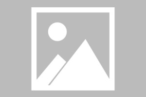 OB电竞官方网站-佩林卡：保留詹姆斯和里夫斯后 有信心用剩下12个位置来构建阵容