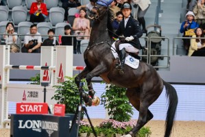 OB电竞-上海环球马术冠军赛 科恩·维瑞克强势问鼎1.45米争时赛
